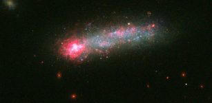 A new image from NASA/ESA Hubble Space Telescope shows an eruption of star-births in the galaxy Kiso 5639, forming a rare "tadpole" galaxy. NMASA/ESA/Hubble