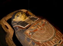 Alex Egyptian mummy