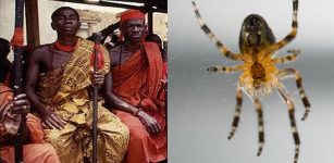 Anansi The Spider