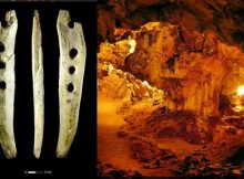 40,000-Years-Old Rope Tool Discovered In Hohle Fels Cave Is Re-Writing The History Of Rope