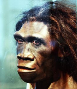 DNA Reveals Mysterious Unknown Species Bred With Early Humans ...