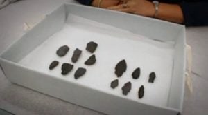 Unique Untouched 10,000-Year-Old Artifacts Removed From Restricted ...