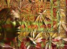 Ancient cannabis trade