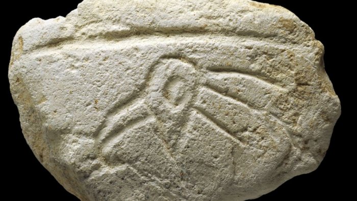 Ancient Agriculture Calendar Found 16,500YearOld Carving Of Bird's Head Is One Of The Oldest