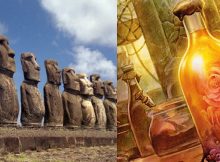 Easter Island Immortality and the Rapamycin bacteria