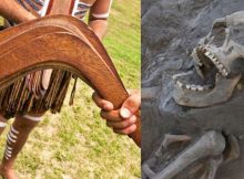 800-Year-Old Boomerang Attack Victim Discovered