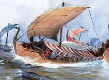 Viking ships