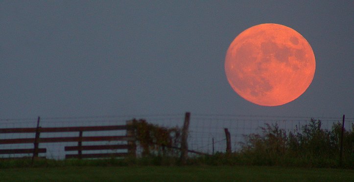 Harvest of the Moon