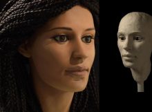 Face Of 2,000-Year-Old Meritamun: Ancient Female Egyptian Mummy Reconstructed