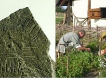 Spectacular 5,000-Year-Old Stone Map Discovered In Denmark Sheds New Light On Ancient Farming