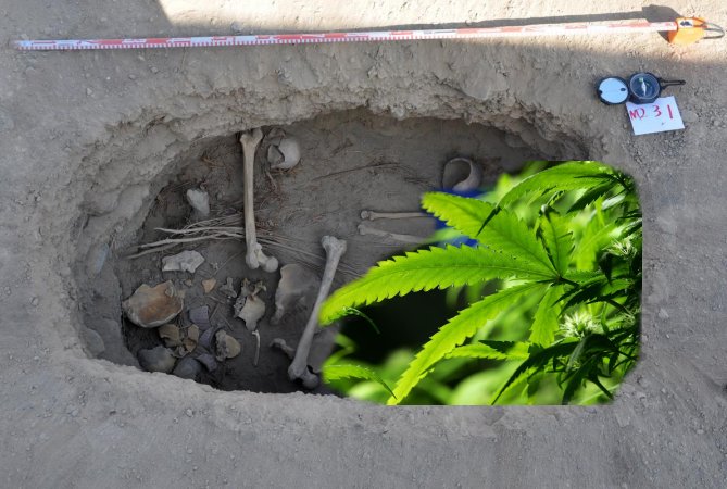 Ancient Cannabis Burial Shroud Discovered At Silk Road Oasis