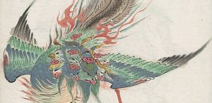 Qing-dynasty (1644-1911) print shows the nine-headed phoenix, a being from Chinese mythology. Image via World Digital Library