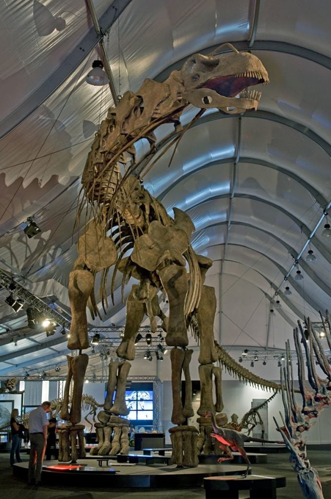 tallest dinosaur in feet