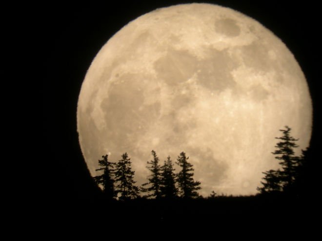 Spectacular Sight On Nov 14 - Supermoon Is The Closest Moon To Earth Since 1948 - MessageToEagle.com