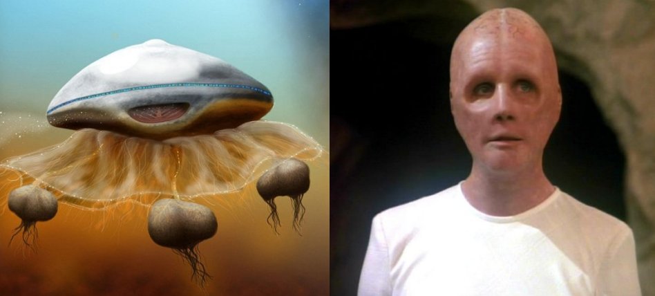 Will Aliens Look Like Humans Or Enormous Jelly-Fish