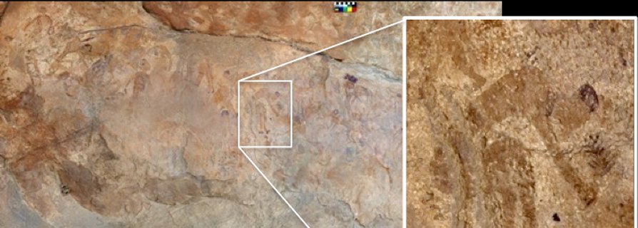 World’s Oldest Depiction Of Plants Cooked In Ancient Pottery Discovered