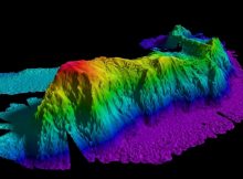 Seamounts - Underwater habitats for marine life