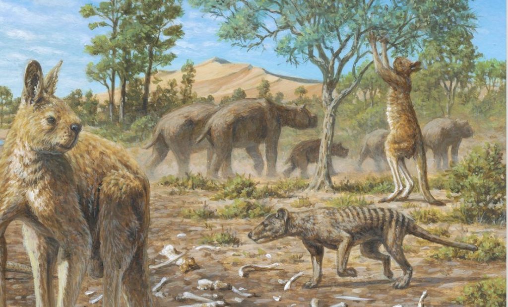 Aboriginal Australians co-existed with the megafauna for at least 17,000 year