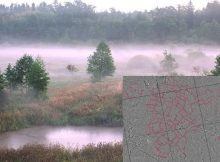 Satellite Images Reveal Ancient Anomalies In The Bialowieza Forest, Poland