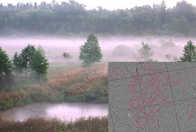 Satellite Images Reveal Ancient Anomalies In The Bialowieza Forest, Poland