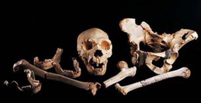 World's Oldest DNA Of An Unknown Human Ancestor Could Rewrite Our History