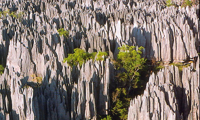 Spectacular Tsingy: ‘Forest Of Limestone Neddles’, Deep Canyons And Underground Rivers