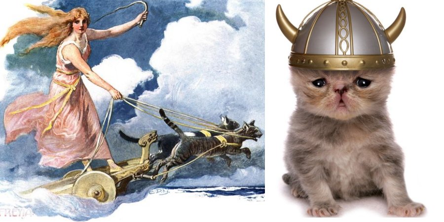 Cats Were Rare And Expensive During The Viking Age – Spectacular Discovery Reveals Why