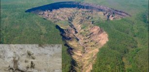 Ancient Forest Discovered Inside The Giant Expanding Batagaika Crater