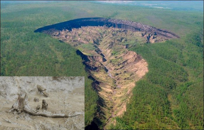 Ancient Forest Discovered Inside The Giant Expanding Batagaika Crater