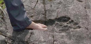 Mysterious Giant Footprints In China: Evidence That Huge Humans Roamed The Earth?