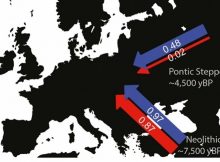 Male (blue) and female (red) contribution during the early Neolithic and later Neolithic/Bronze Age migrations.