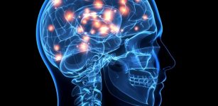 Unexplained Brain Activity Detected In Patient Declared Clinically Dead