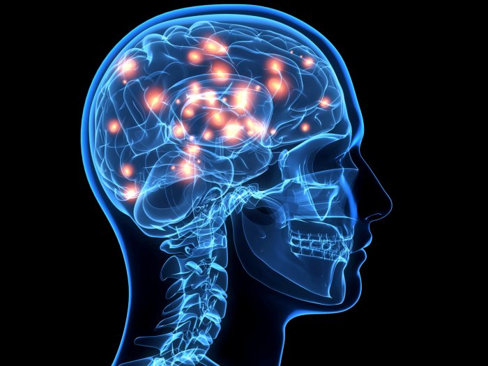 Unexplained Brain Activity Detected In Patient Declared Clinically Dead