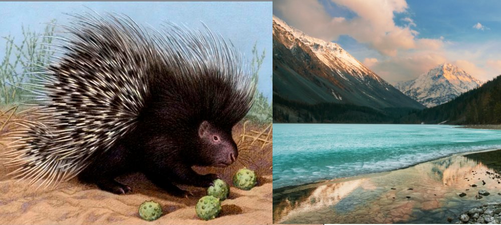 Altai Mountains Were Home To Porcupines 30,000 Years Ago