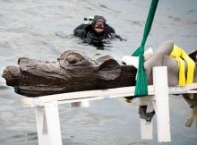 Gribshunden - 'Sea Monster' Wooden Figurehead Emerges From Baltic Sea, Southern Sweden