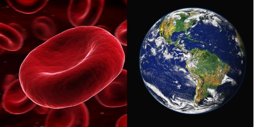 Rarest Blood Types On Earth – How Unique Is Your Blood?