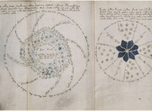 Voynich manuscript