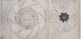 Voynich manuscript