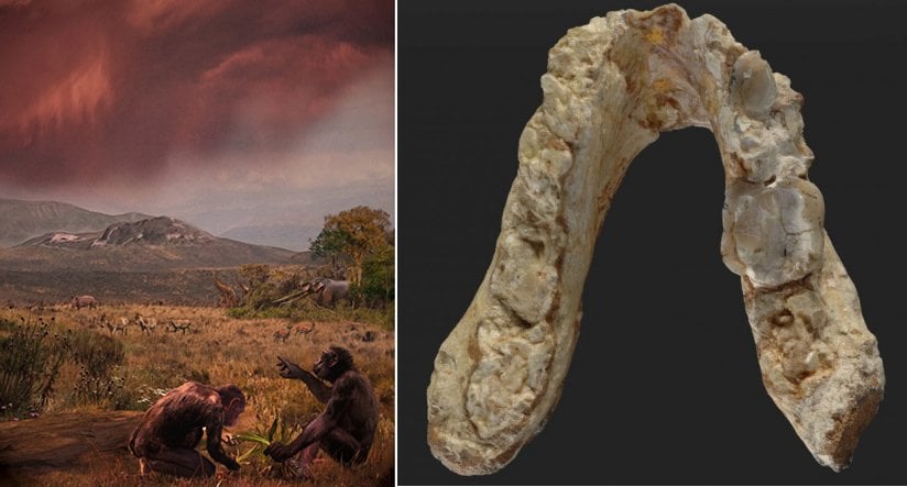 7.2-Million-Year-Old Pre-Human Remains Suggest First Human Ancestor Came From Europe Not Africa