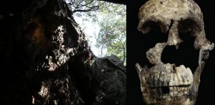 Fossils Of Mysterious Homo Naledi Change Our Understanding Of Evolution