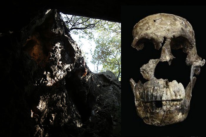 Fossils Of Mysterious Homo Naledi Change Our Understanding Of Evolution