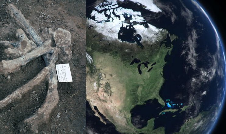 Mysterious Bones May Re-Write History Of North America - Humans Were Present On The Continent 10 Times Earlier Than Previously Thought