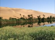 Sahara was once green