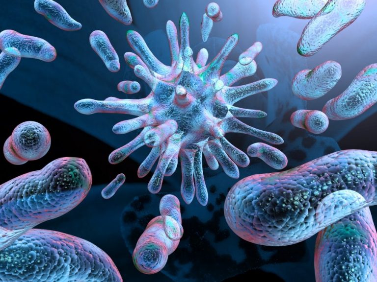 DNA Study: Almost All The Microbes Inside Our Bodies Are Unknown To ...