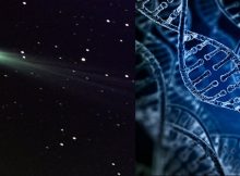 Can Interstellar Ice Solve The Mystery Of DNA?