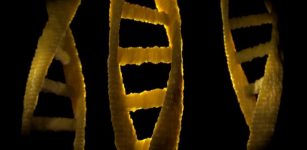 Dark DNA Phenomenon – One Of The Strangest Discoveries So Far