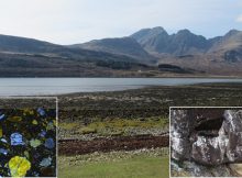 A 60-Million-Year-Old Meteorite Impact And Unique Minerals Never Recorded On Earth Discovered On Isle of Skye