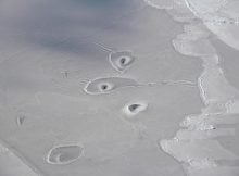 Mysterious Ice Circles Discovered In The Arctic Sea Remain Unexplained For Now – NASA Says