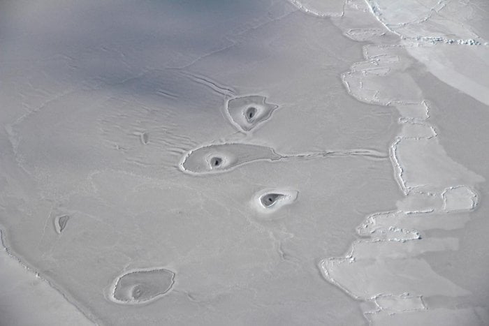 Mysterious Ice Circles Discovered In The Arctic Sea Remain Unexplained For Now – NASA Says