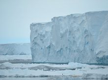 The Mertz Glacier in January 2017. Credit: Alessandro Silvano